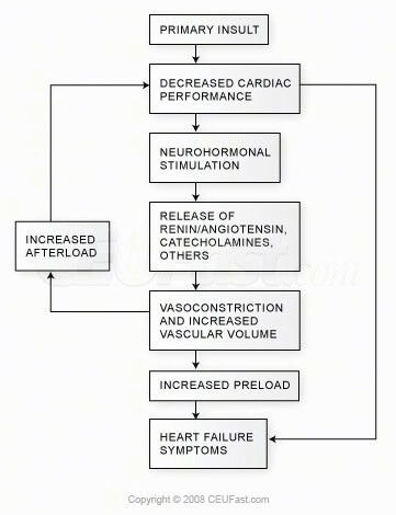 Activity on the biochemical level flowchart