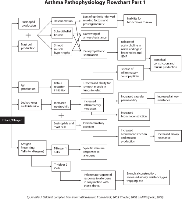 Asthma Pathophysiology