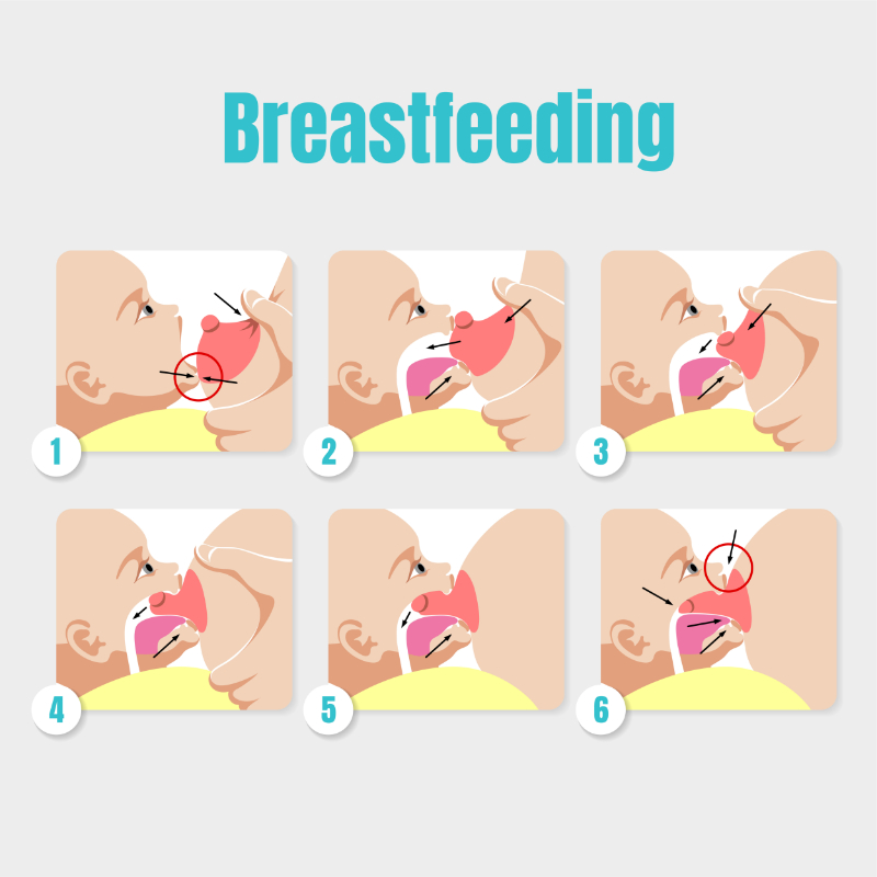graphic showing breast feeding latch steps