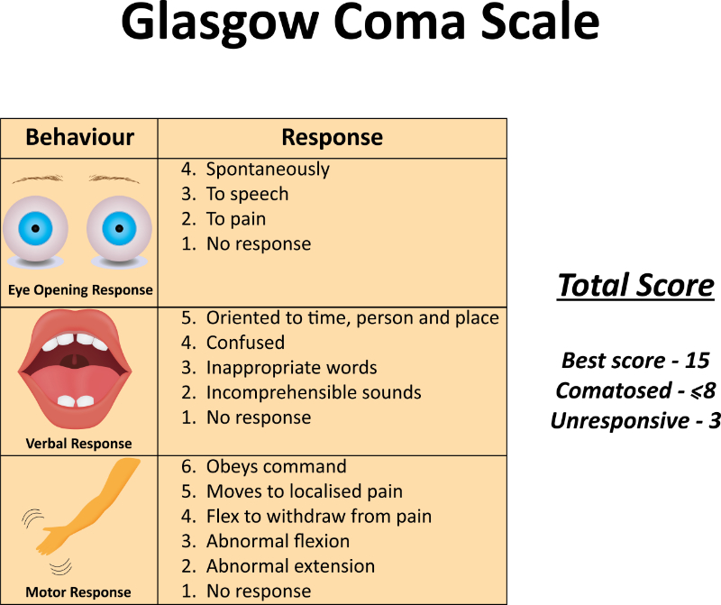 graphic showing glasgow coma scale