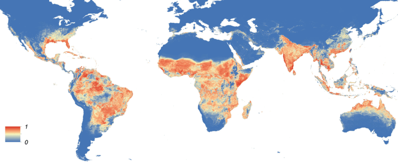 Global Aedes Aegypti Predicted Distribution (Figure 4)