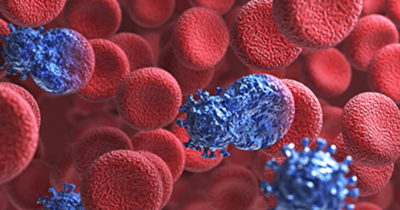 micro view of immune cells