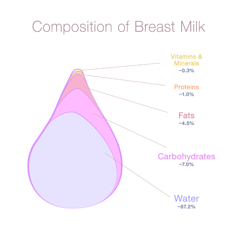 graphic showing composition of breast milk