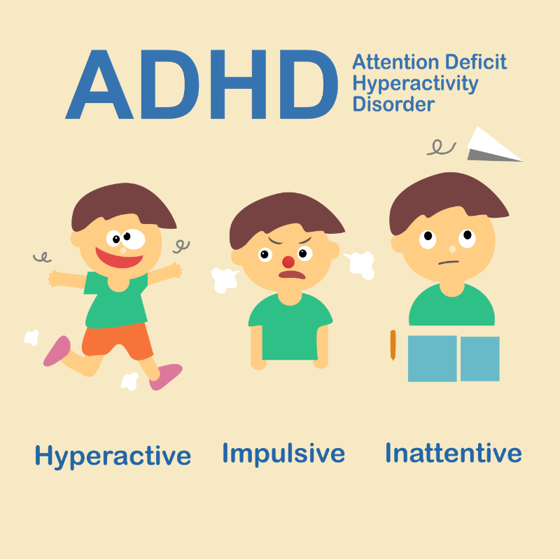 graphic showing stages of adhd