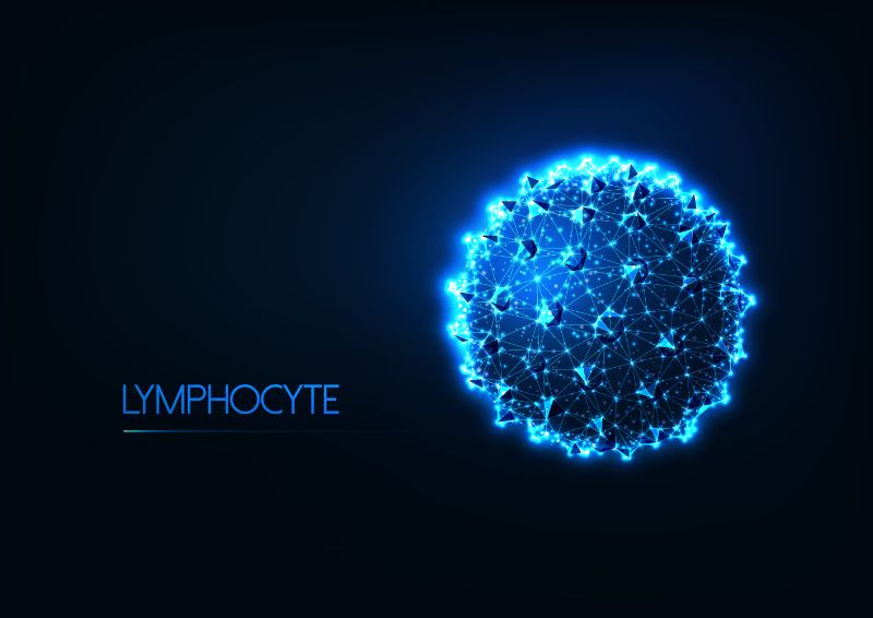 graphic of lymphocyte