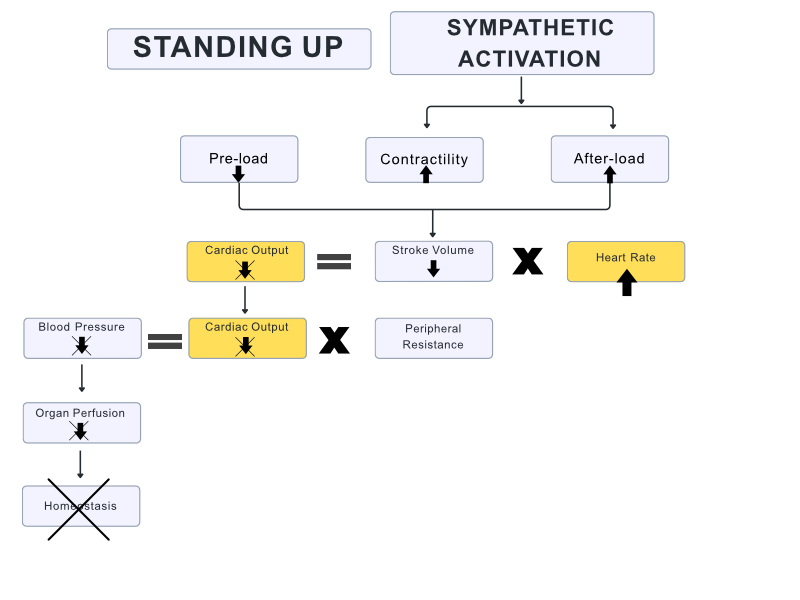 flow chart of compensation of pots with standing