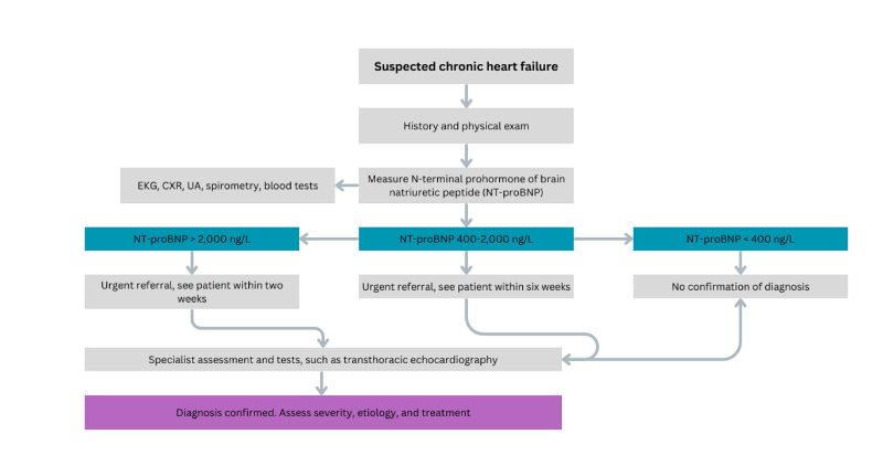 graph showing guideline for the diagnosis of suspected heart failure