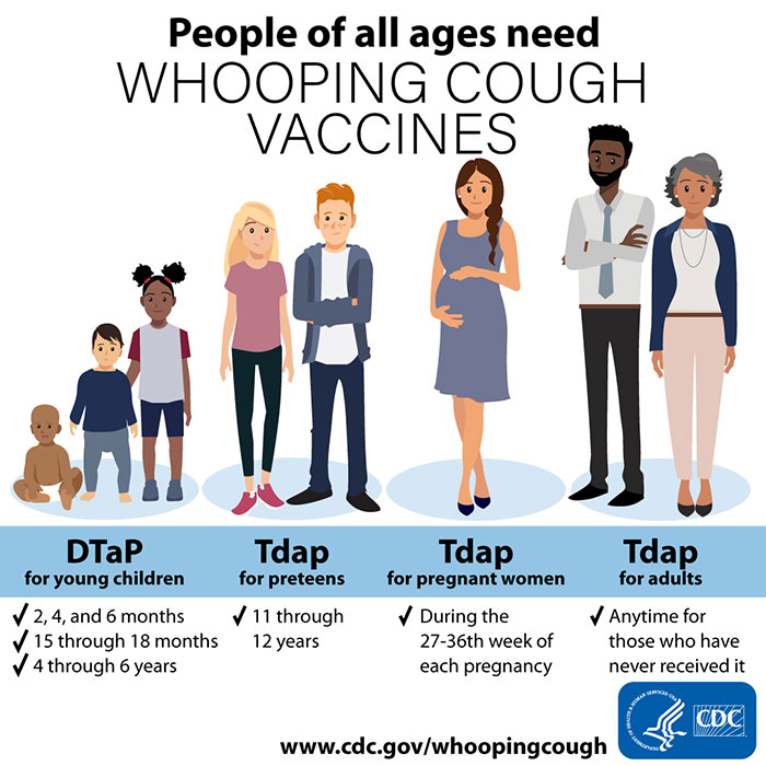 graphic showing breakdown of people of all ages and when to get the whooping cough vaccines