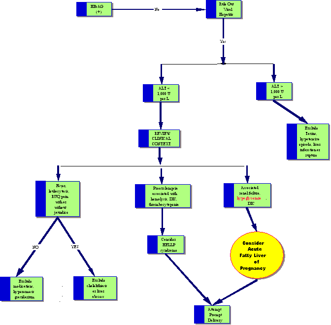 Liver Disease in Pregnancy Chart