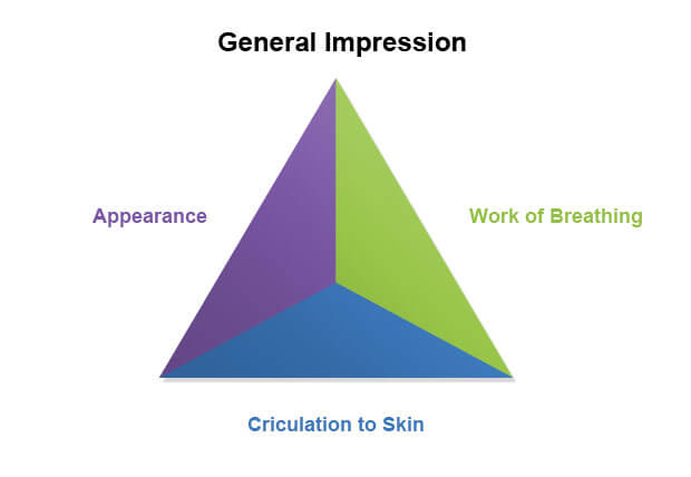 PAT general impression